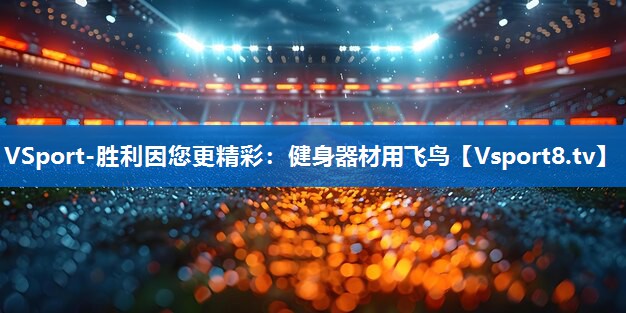 <strong>VSport-胜利因您更精彩：健身器材用飞鸟</strong>