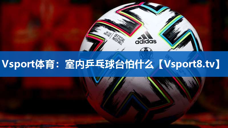 Vsport体育：室内乒乓球台怕什么