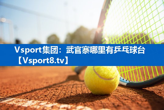 Vsport集团：武官寨哪里有乒乓球台