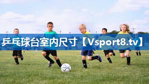 乒乓球台室内尺寸