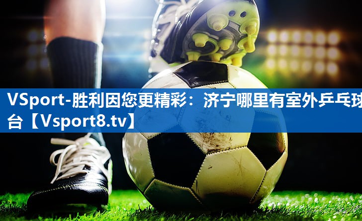 VSport-胜利因您更精彩：济宁哪里有室外乒乓球台