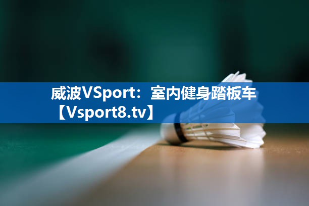 <strong>威波VSport：室内健身踏板车</strong>