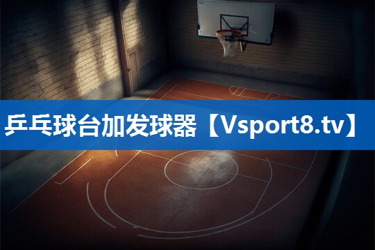 乒乓球台加发球器