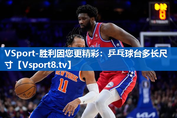 乒乓球台多长尺寸