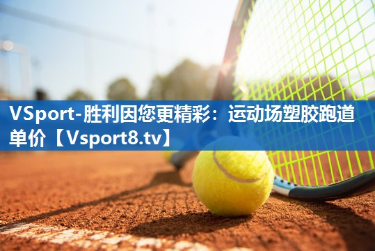运动场塑胶跑道单价