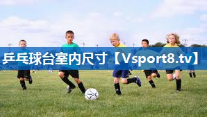 乒乓球台室内尺寸